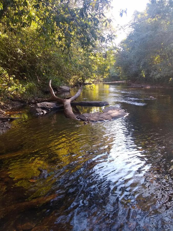 Pousada Primavera Dos Pireneus Pirenópolis Εξωτερικό φωτογραφία